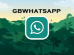 GB WhatsApp: Menyempurnakan Pengalaman Chat Anda